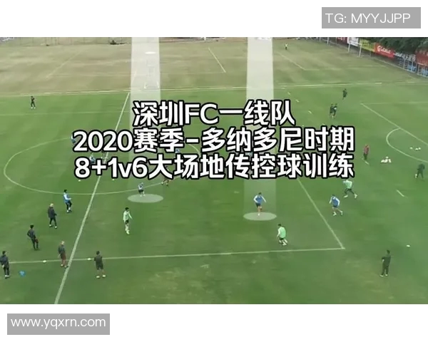 上海足球队在控球与反击中的得失分析与战术反思